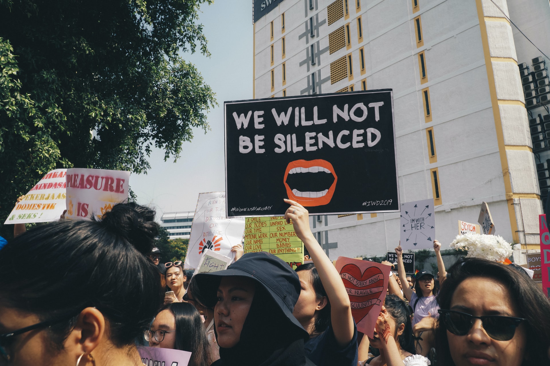 michelle-ding-LXUR8IWa0i0-unsplash